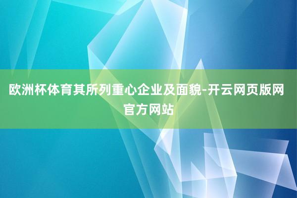 欧洲杯体育其所列重心企业及面貌-开云网页版网 官方网站