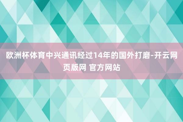 欧洲杯体育中兴通讯经过14年的国外打磨-开云网页版网 官方网站