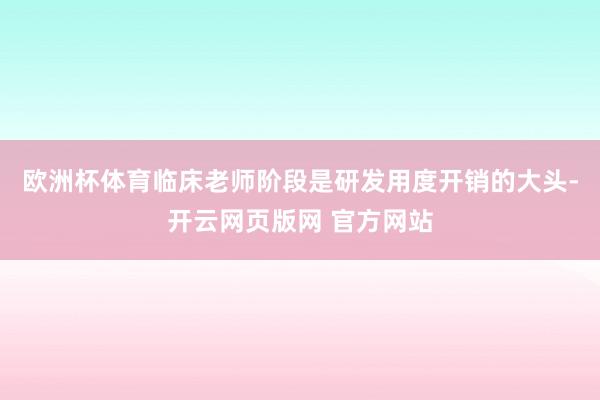 欧洲杯体育临床老师阶段是研发用度开销的大头-开云网页版网 官方网站